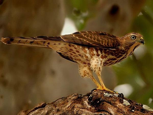 ഭീമേശ്വരിയിലെ കാഴ്ചകൾ