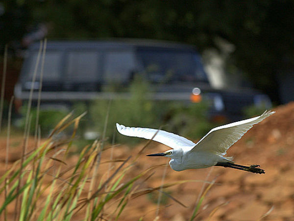 ഭീമേശ്വരിയിലെ കാഴ്ചകൾ