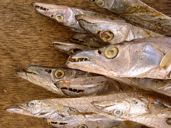 ഉണക്കമീൻ