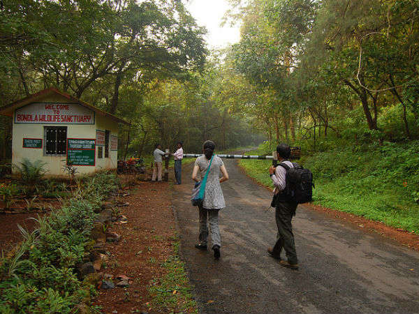 വന്യജീവി സങ്കേതങ്ങൾ (Wildlife Sanctuary)
