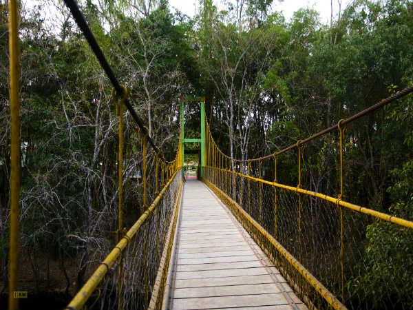നിസാർഗധാമ