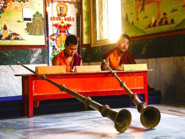 ബുദ്ധമത അനുയായികൾ