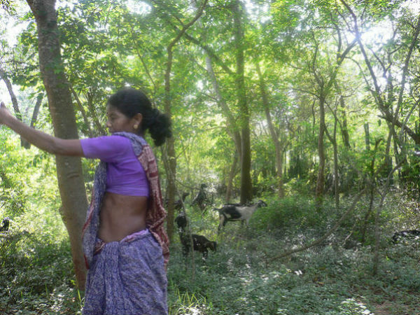 ജോലിക്കാർ