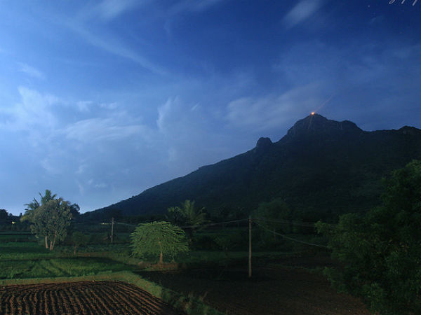 കാർത്തിക ദീപം