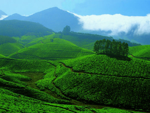 മൂന്നാർ 