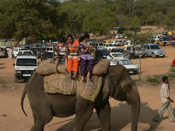 ആന സവാരി