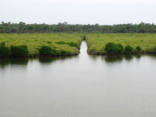 കായൽ വിശേഷം
