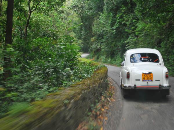 മഴക്കാടുകളിലേക്ക്