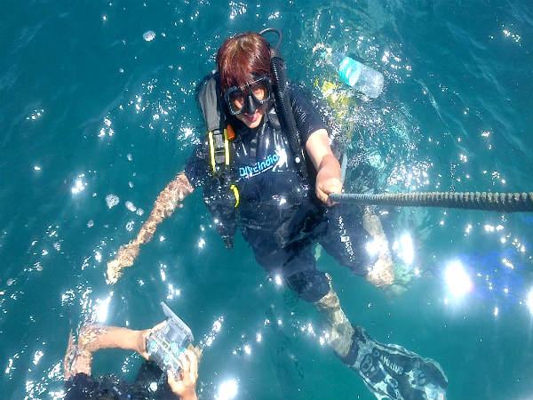 കടൽ ജീവികളെ കാണാം