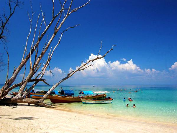 നീന്ത‌ൽ