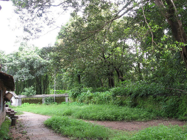 തെക്കേക്കാവ്