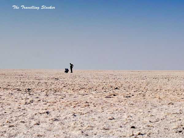 കൂടുതൽ ചിത്രങ്ങൾ