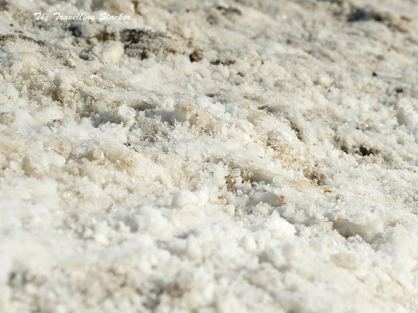 കൂടുതൽ ചിത്രങ്ങൾ