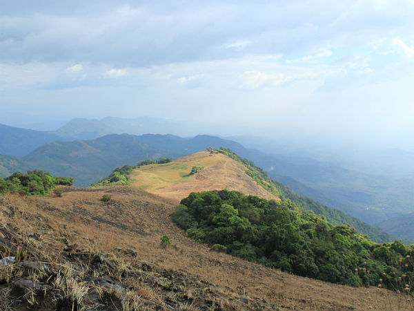 പൈതല്‍മല