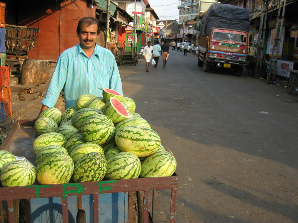 വത്തക്ക