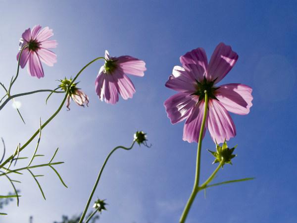 നേച്ചർ പാർക്ക്