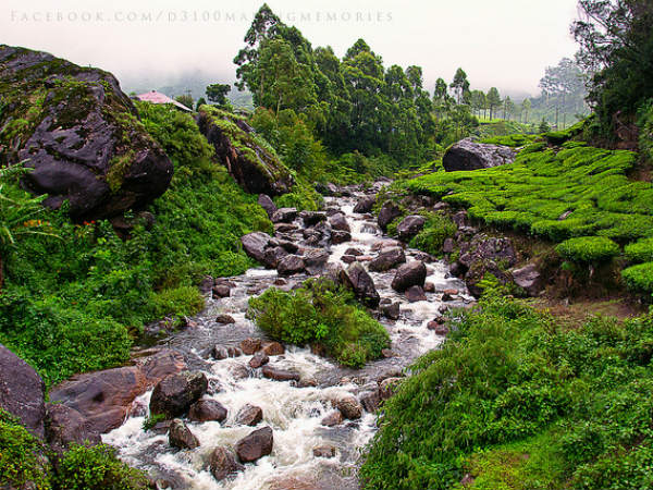 വിദേശ സഞ്ചാരികൾ