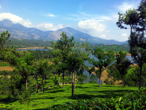 പ്രകൃതി സ്നേഹികളുടെ പറുദീസ