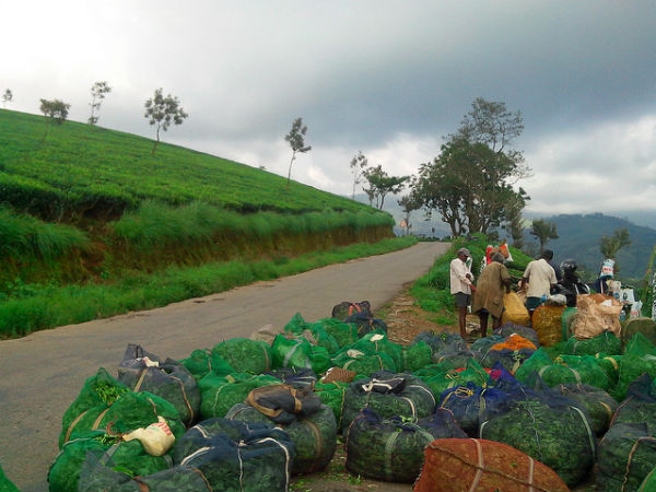 എല്ലാവർക്കും പ്രിയങ്കരം