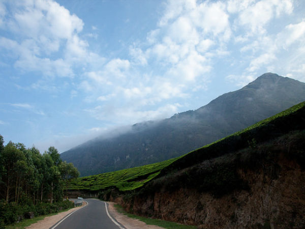 ആനമുടി ട്രെക്കിംഗ്