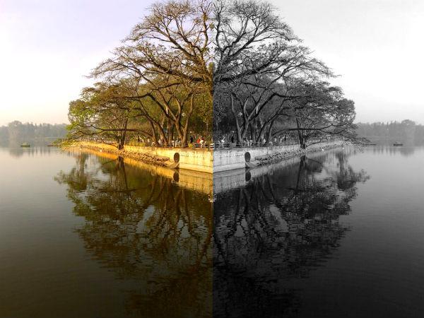 സാങ്കി ടാങ്ക് 