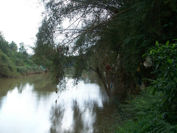മലിനീകരണം