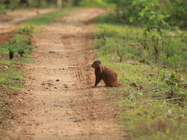 കിണ്ണം തരുവോ
