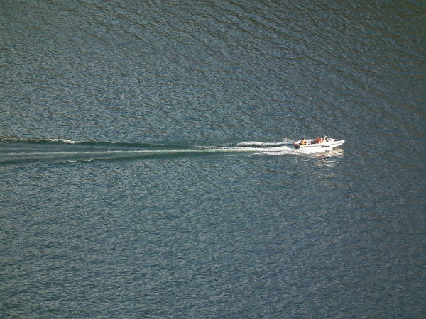 ബോട്ട് സർവീസ്