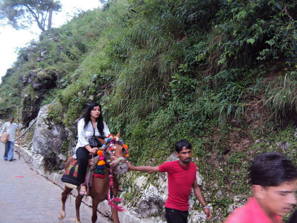 എത്തിച്ചേരാൻ