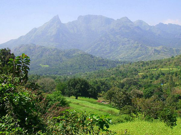 മറ്റൊരു കാഴ്ച