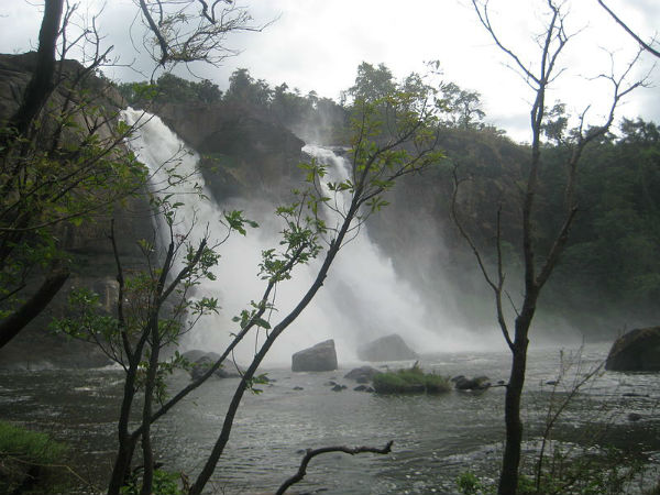 പുന്നഗൈ മകൻ