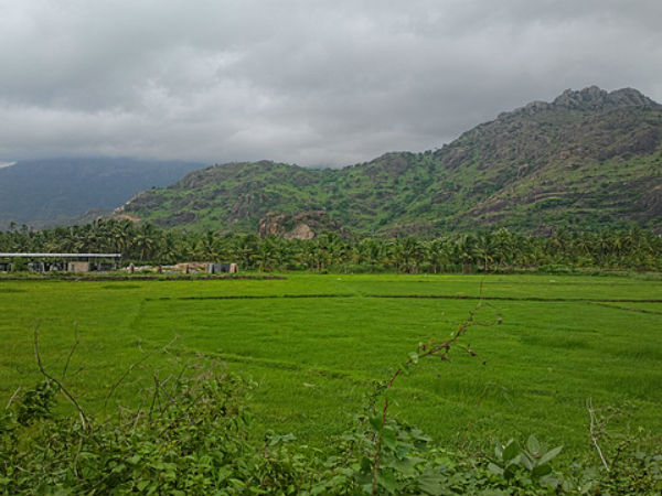 നാഗർകോവിൽ