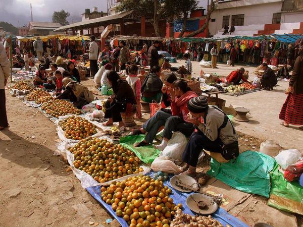 ഗ്രേറ്റര്‍ കൊഹിമ