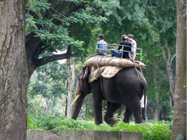 ആനപ്പുറത്ത് കയറാം