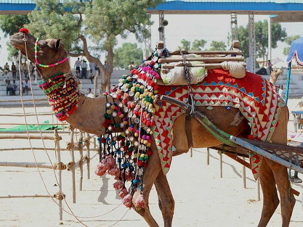 അലങ്കാരപ്പണികൾ
