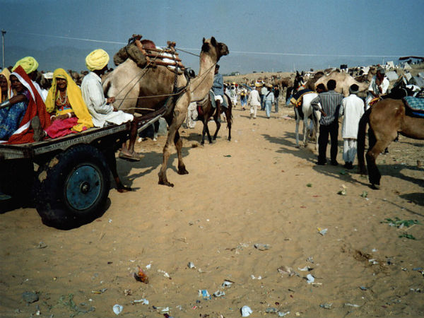 ഗ്രാമീണർ കൂട്ടം കൂട്ടമായി