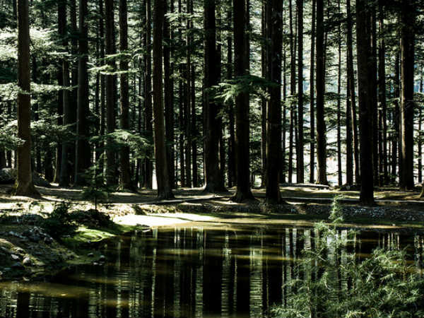 മണാലി ചിത്രങ്ങൾ