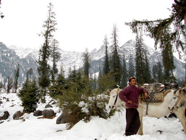 മണാലി ചിത്രങ്ങൾ