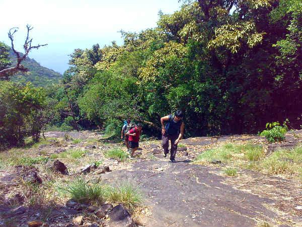 ട്രെക്കിംഗ് പാതയുടെ ദൂരം