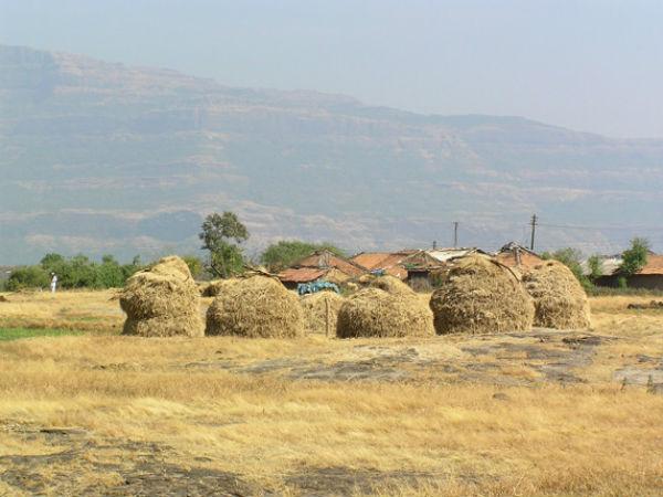 മറ്റൊരു പശ്ചിമ ഘട്ടം