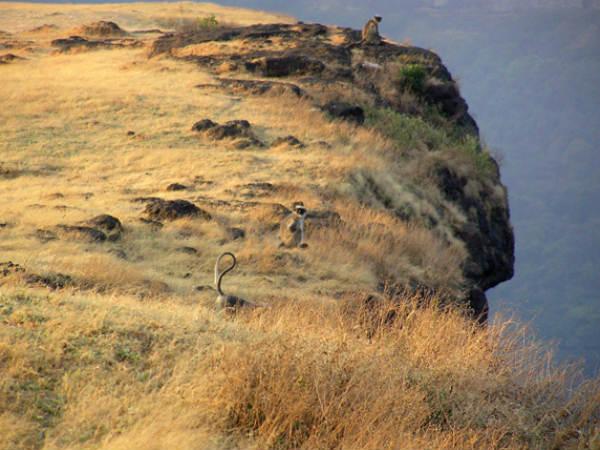 പഠന കേന്ദ്രം