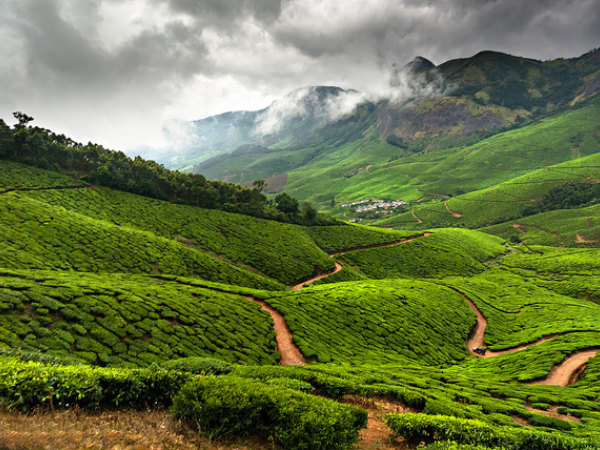 ഹരിതകാന്തി