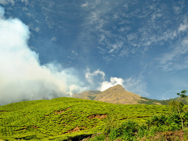 നീലയും പച്ചയും