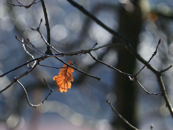 ഉത്തരവാദിത്ത ടൂറിസം