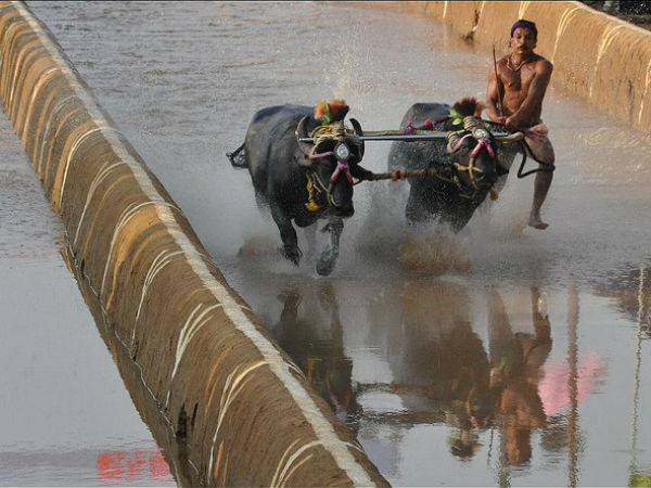 ട്രാക്കുകൾ