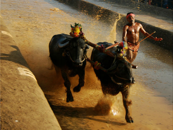 അടിയോടടി