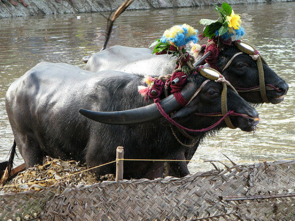 തയ്യാറെടുപ്പ്