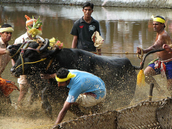 വിസിൽ വിളി കാത്ത്