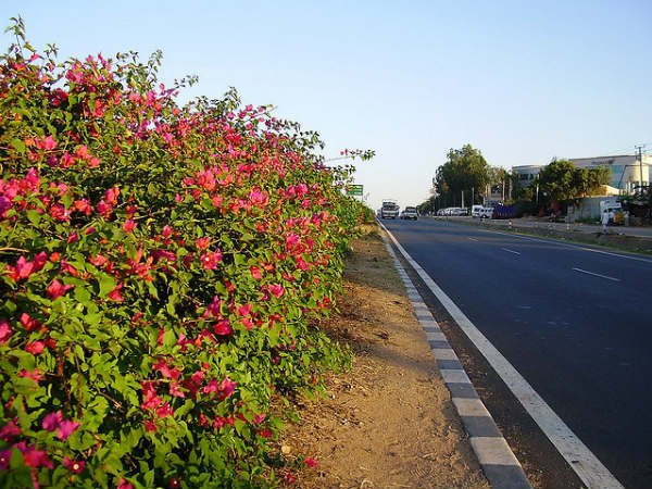 ബാംഗ്ലൂർ ഹൊസൂർ