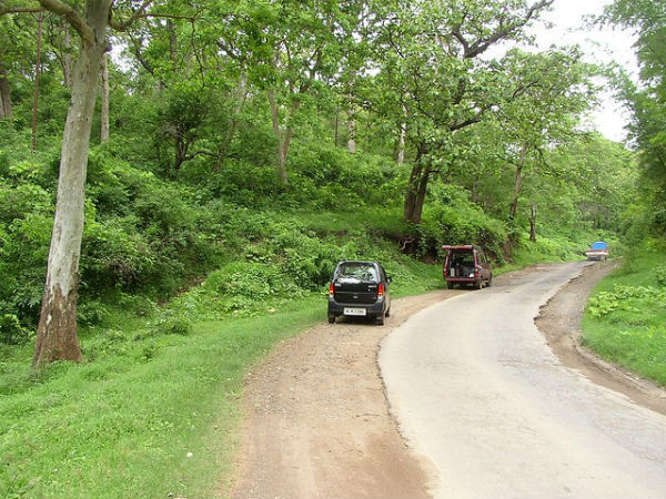 മുതുമലൈ - ബന്ദിപ്പൂർ - മൈസൂർ